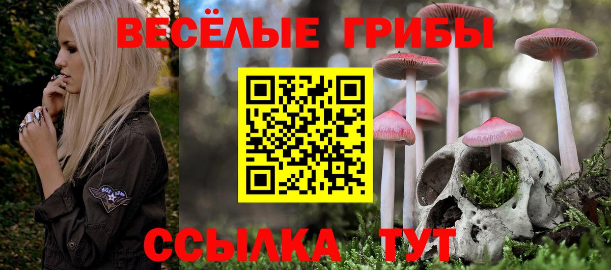 Галлюциногенные грибы мицелий Белгород