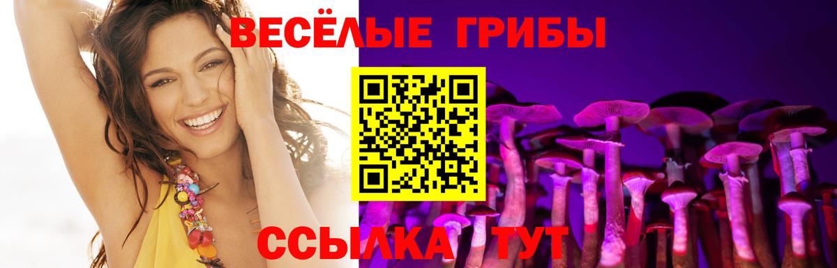 магазин    Галлюциногенные грибы мицелий  Вход с VPN  Белгород 